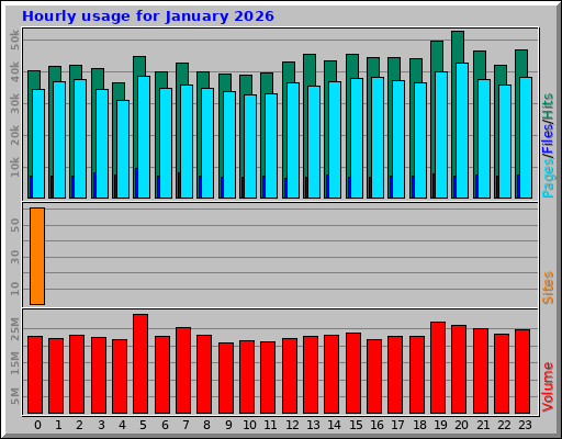 Hourly usage for January 2026